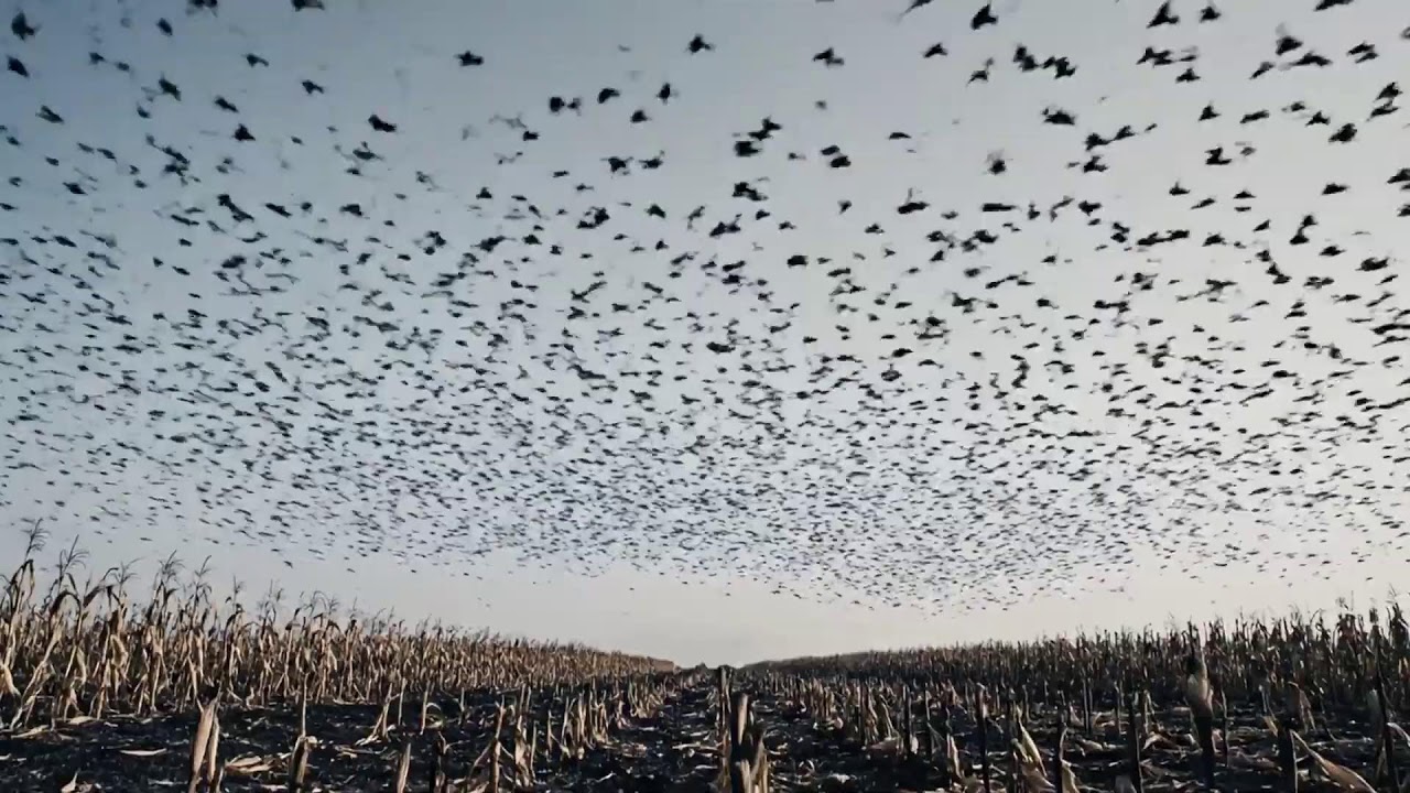 Outlaw Resurrection | Dark Country Playlist for Second Chance Rebel Stories