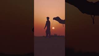 Silk Road Dreams #shorts  #drbeat #chillmusic #music