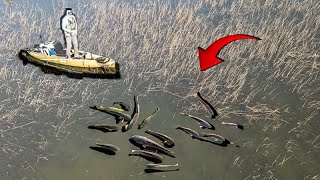 Falling High Tide tactics: redfish and speckled sea trout Hightide Redfish Tip Icoachfishing Com