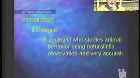 PSYC 1300 LECTURE 26