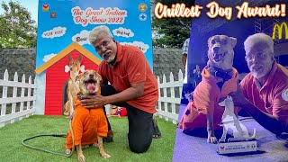 COCO Wins The Chillest Dog Award!| The Great Indian Dog Show ❤