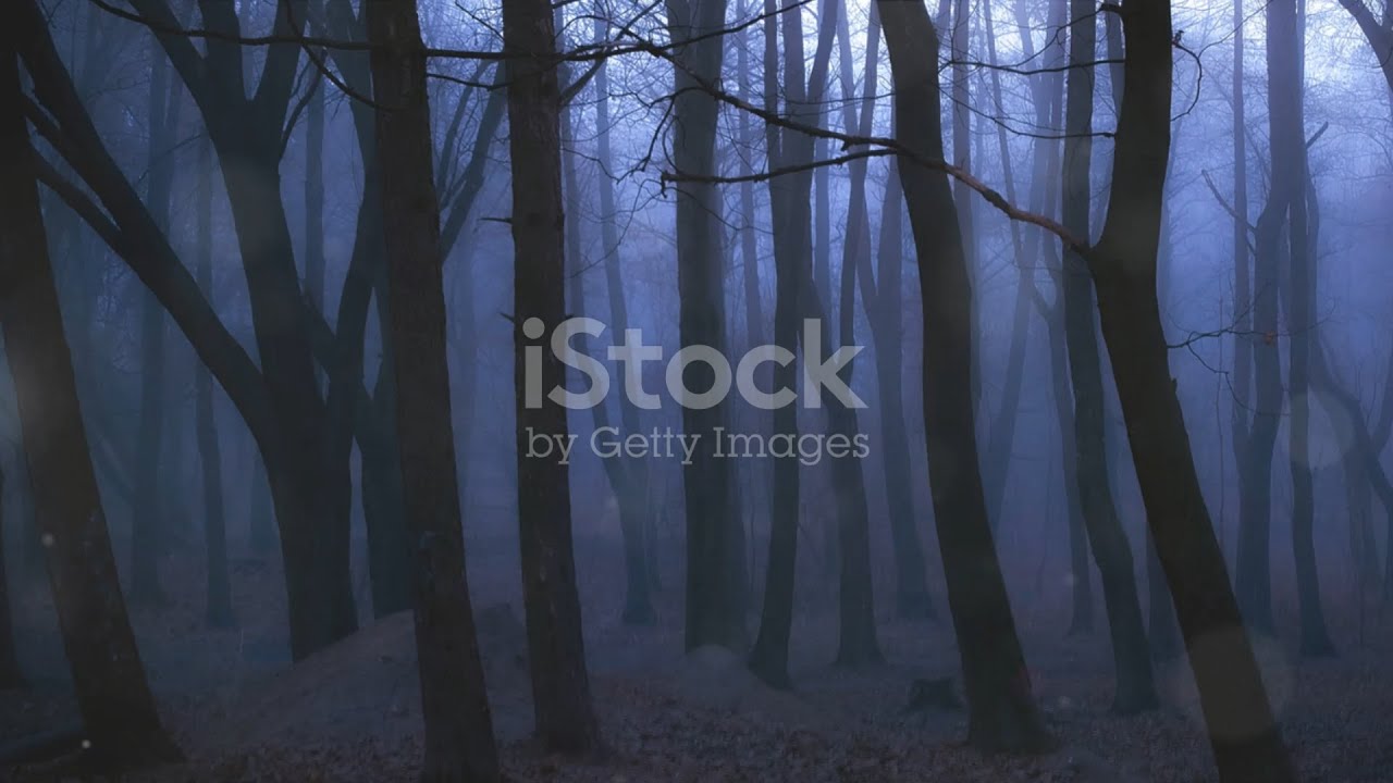 Ice-Cold Thrills: Unpacking the Pages of Stephen King's Holly