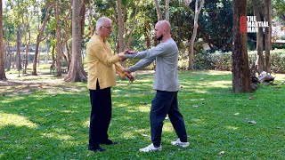 Wu Ji Quan: An Exclusive Interview with Dr. Ortwin Lüers