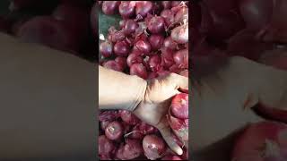 aurangabad onion market  red onion  . 17 .20