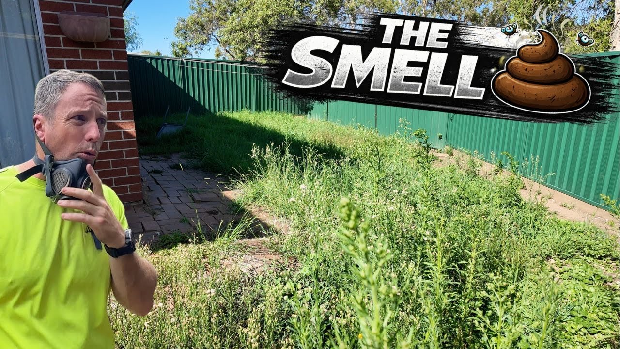 These Yards are Everything I hate about Lawn Mowing! Free Mow Fridays