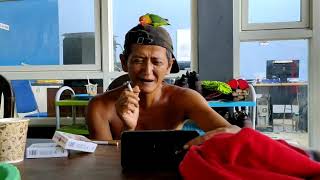 Download lagu viral orang gila pintar bahasa inggris nyanyi bhs inggris suara merdu!!di dampingi burung lovebird