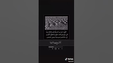 ياسر الدوسري - سورة الغاشية