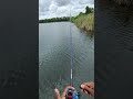 There’s a science to fishing, I just haven’t figured it out yet #fishingpov #pov #raybanmeta