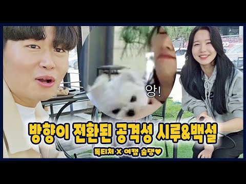 산책중 반려견이 지나가는 고양이, 강아지 보고 화풀이 하며 날 물었다고요? | 훈련의 신
