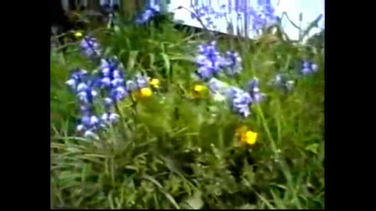 The Small Back Room YouTube