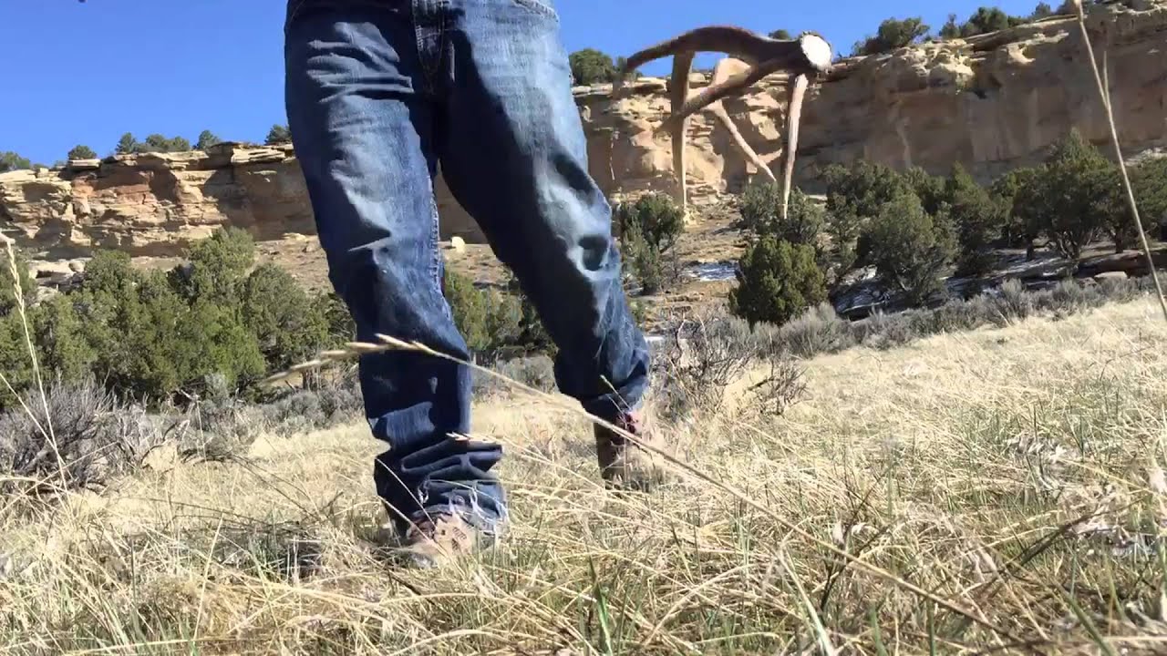 Colorado Elk Shed Hunting 2015 YouTube