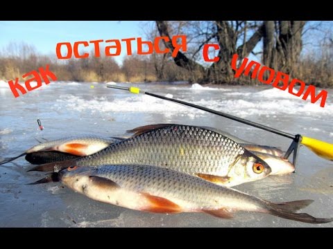 ПЛОТВА ЗИМОЙ! Как не остаться без плотвы зимой