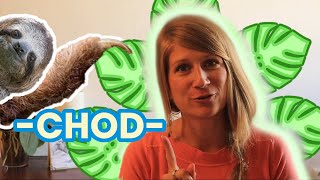 LOGIC IN CZECH (21): -CHOD-... chodec, podchod, rozchod, přechod... (CZE subtitles)