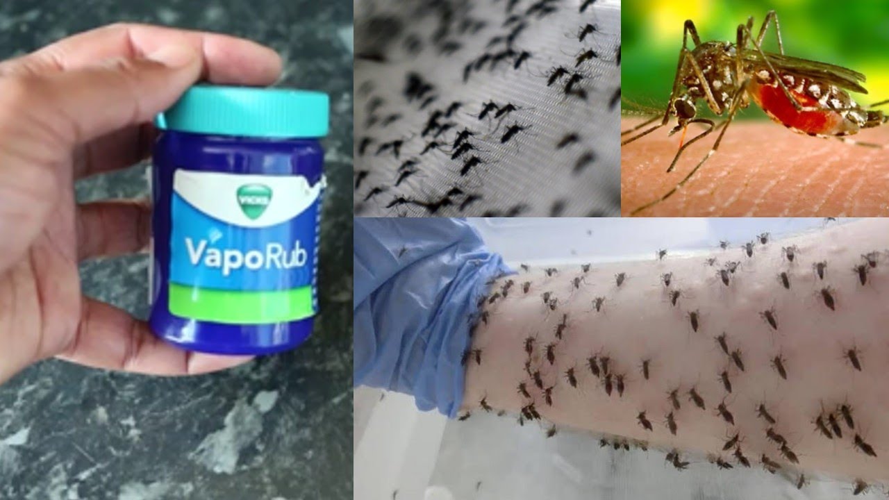 Does Vicks Vapor Rub Really Repel Mosquitoes? Find Out!