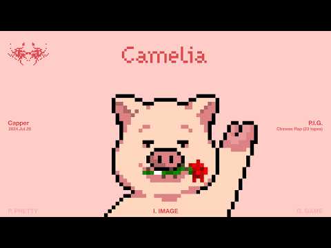 卡梅利娅 Camelia