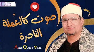 صوته ينسيك الدنيا 💥 الشيخ محمد عبدالوهاب الطنطاوي, رائعة سورة الحج | Surah Al-Hajj