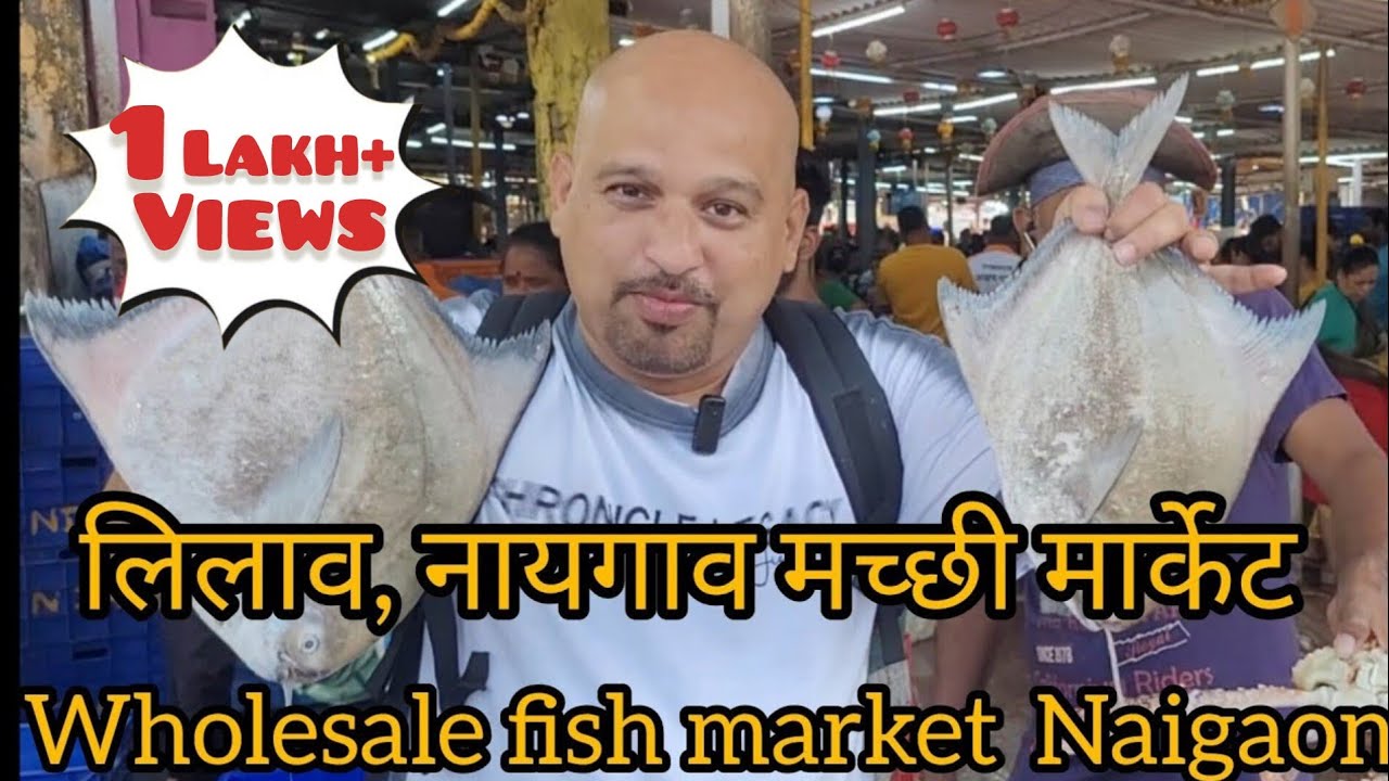 नायगाव, मच्छीचा लिलाव होलसेल फिश मार्केट | Naigaon fish market latest video |  Vlog no. 35