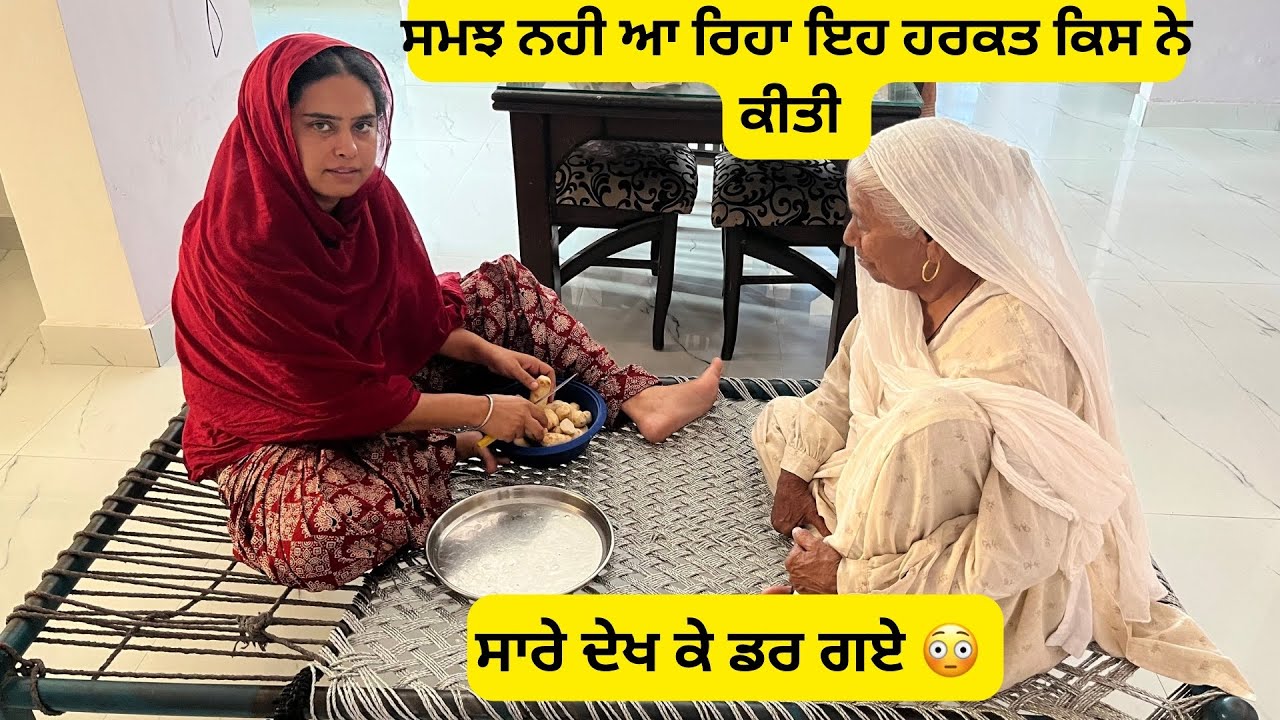 ⁣ਸਾਡੇ ਘਰ ਚ ਐਨੇ ਜਿਆਦਾ ਵਾਲ ਕਿੱਥੋ ਆਏ 😱ਅਸੀ ਵੀ ਦੇਖ ਕੇ ਹੋ ਗਏ ਹੈਰਾਨ#boparaiproduction805
