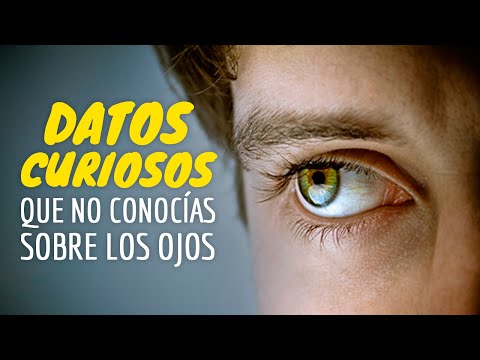 Vídeo: ¿Crecen Tus Ojos? Todo Sobre El Cambio En Los Ojos A Medida Que Envejecemos