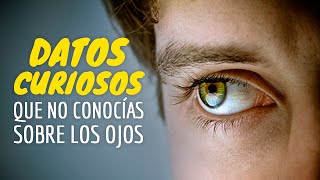 10 Datos Curiosos Que Desconocías Sobre Los Ojos