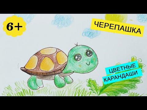 Рисуем сухопутную черепашку цветными карандашами | Урок рисования для детей от 5-ти лет