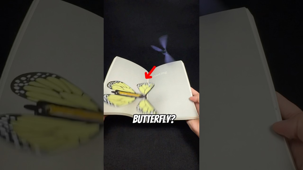 3D Printed Windup Flying Butterfly 