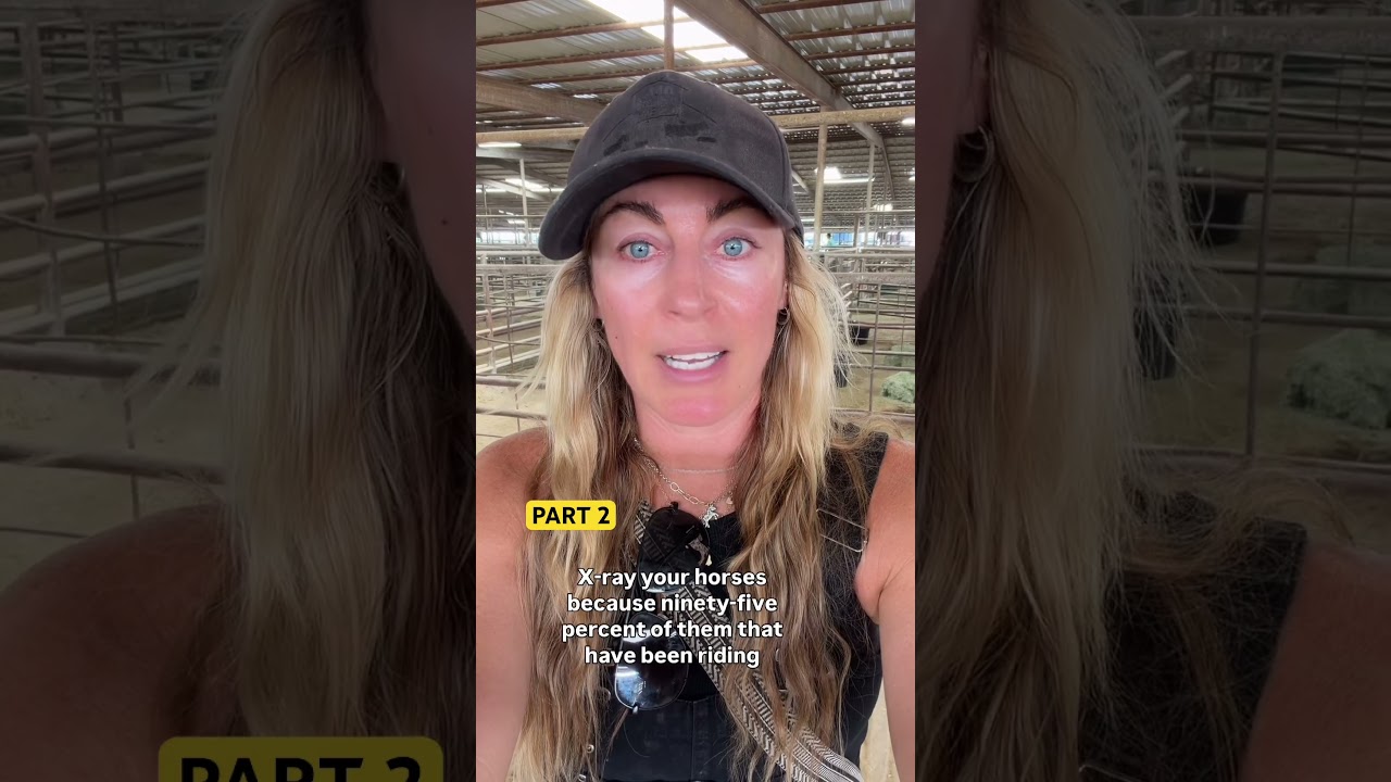 PART 2: why is maintenance so scary & should you own a horse if you can’t do maintenance they need?!