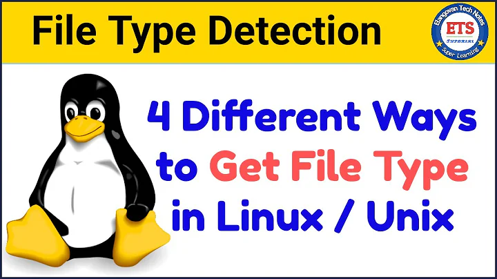 4 Different Ways to Detect File Type in Linux / Unix | Determine File Type | Command Line