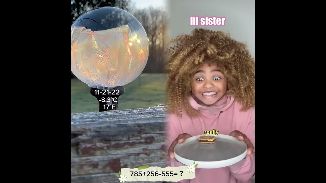 🤣👌👌👌2026 pov Must-Watch Crazy Clips Compilation 