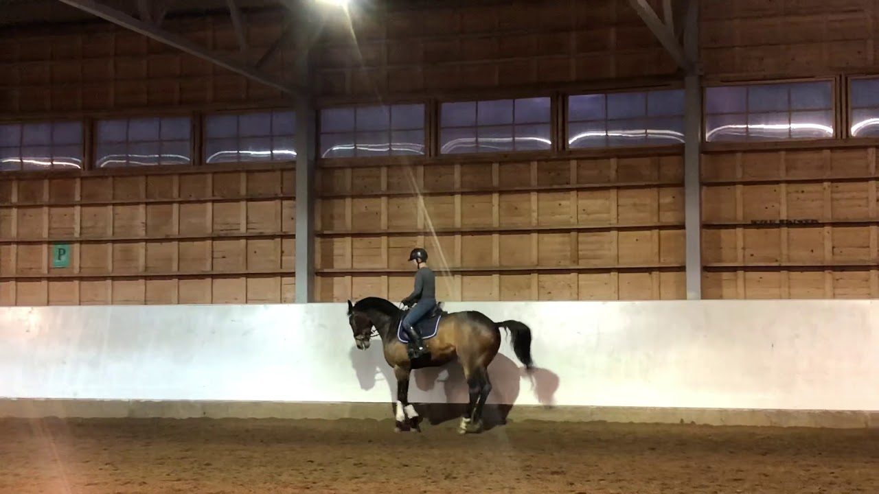 Cubali H, piaffe training