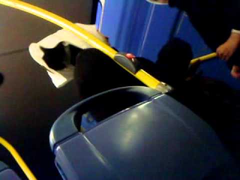 فضيحة محجبه 