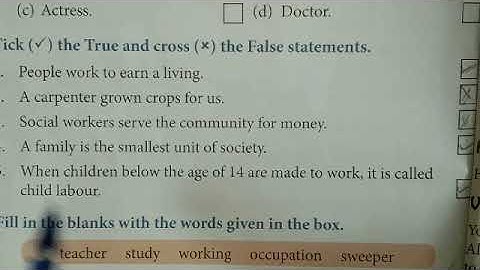 Class - 3rd(EVS)Chapter - 3rd(work we do)True/False