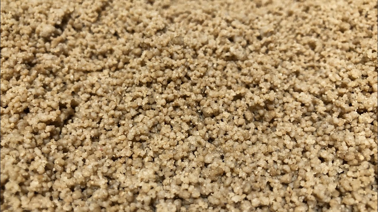 Bassi pour dêguê (facile à réaliser )