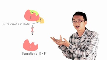 4 8 Feedback inhibition