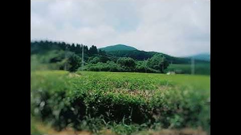 Thực tập sinh nông nghiệp ở Nhật bản