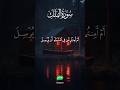 Powerful Surah Mulk Tilawat | Daily Quran Shorts | #shorts #foryoupage #shortsfeed #ytshorts