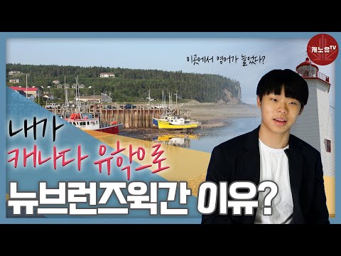 [마크talk] 내가 캐나다유학으로 뉴브런즈윅에 간이유? The reason I went to New Brunswick!