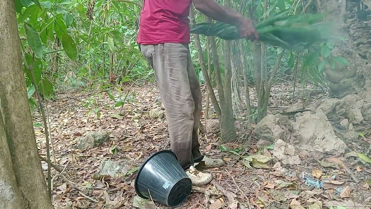 মধু ভাঙবো 