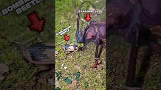 If Minecraft Effects Were In Real Life...