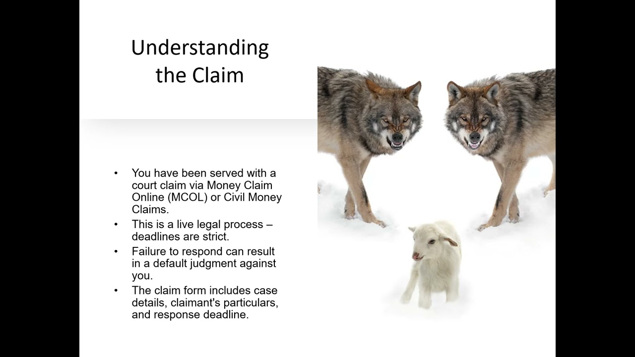 Navigating Money Claims Online  A Guide for Defendants 💼