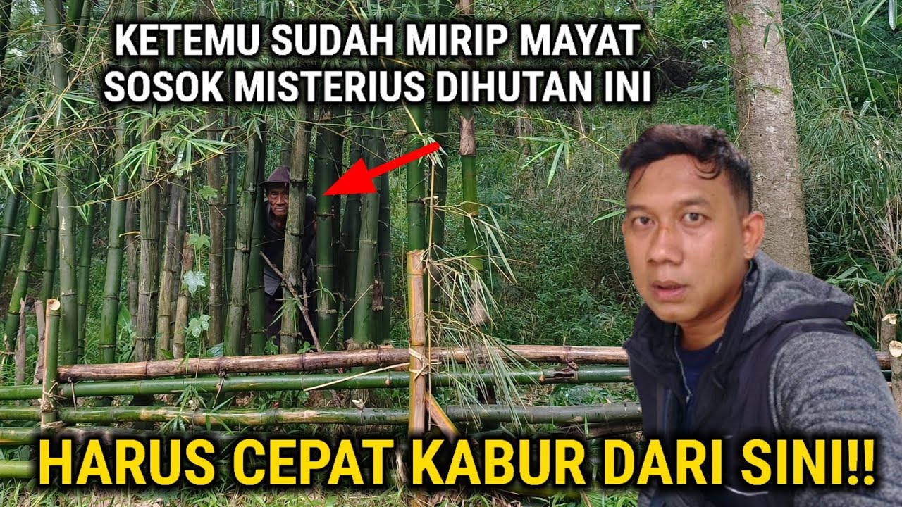 BERTAHAN HIDUP SELAMA 30 TAHUN DI BEKAS RUMAH KOSONG GAK NYANGKA ADA WANITA PEMBERANI DI HUTAN INI