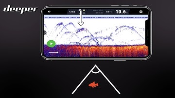 WHAT SHOULD I BE LOOKING FOR WHEN TRYING TO LOCATE FISH?