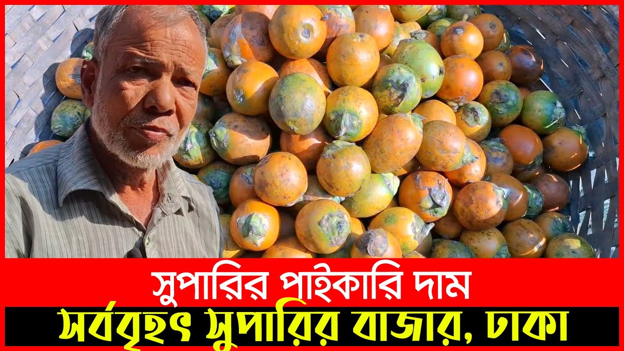 Supari Wholesale supari-wholesale
