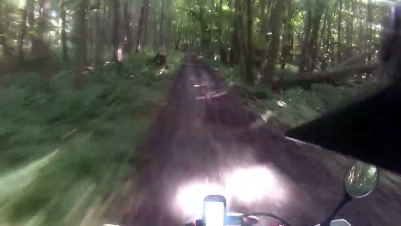 Chilham - Dane Street (Byway, N-S)