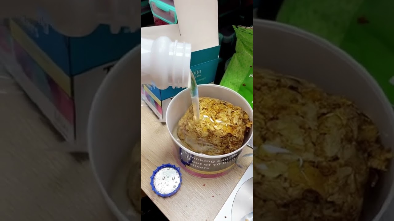 Can i make shisha flavour?? Shisha flavour 