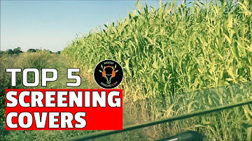 Top 5 Screening Cover DIY Habitat Screen How To Plant Egyptian Wheat Switchgrass Spruce Miscanthus