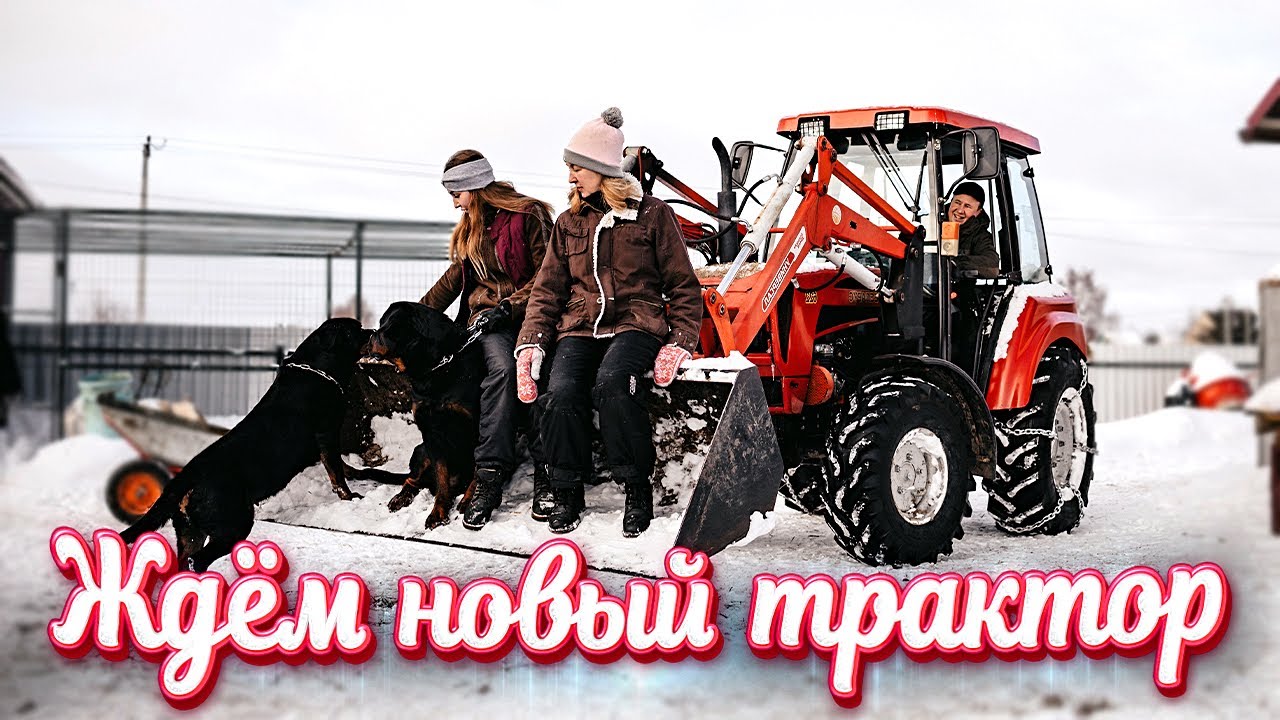 Молодая ферма дзен последнее