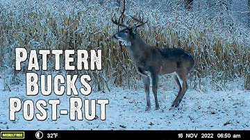 Post Rut Hunting Tips - Pattern Bucks Post-Rut