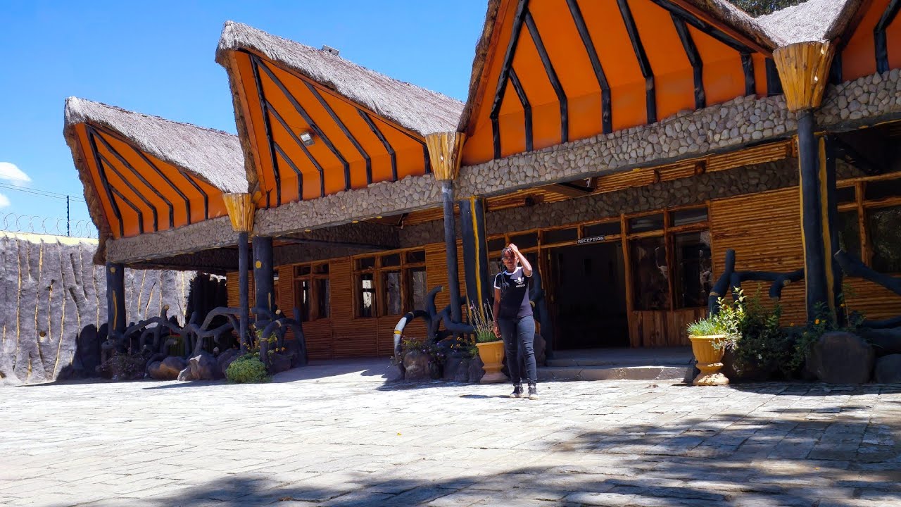 Team Building | Office Shenanigans 