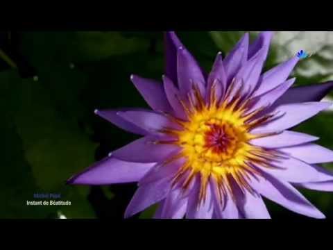 Michel Pépé - Instant de Béatitude (relaxing, soothing music)